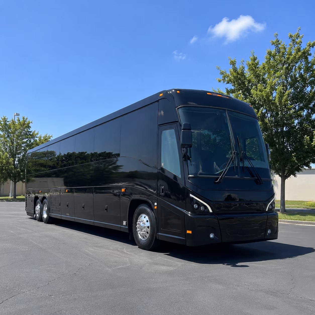charter bus trips from margate across alligator alley to tampa and st petersburg
